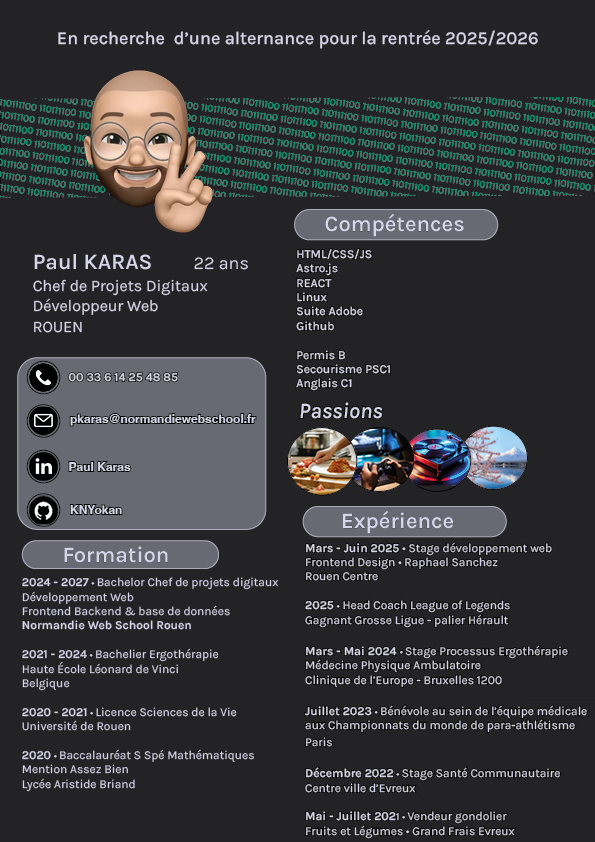 CV Paul KARAS 1